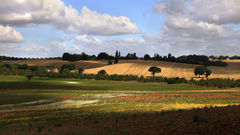 England Taken copy was This Essex redsizeprfinalimg