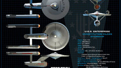 Ent ortho opps found