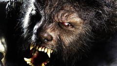 Entertainment the wolf man