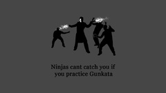 Equilibrium silhouettes ninjas cant