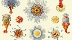 Ernst Haeckel Art Forms
