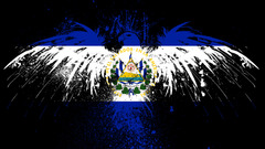 Esbird wasn gonna do