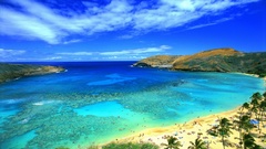 Eternal WITNESS by divine