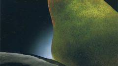 European photography high