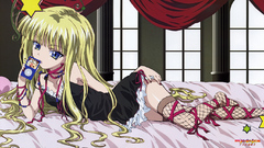 Evangeline A. K. McDowell