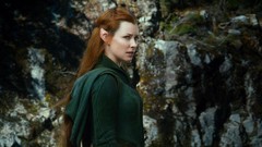 Evangeline lilly still the hobbit the desolation of smaug 