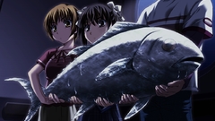 Ever big fish Aquarium