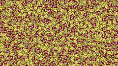 Everywere yellow cute smile