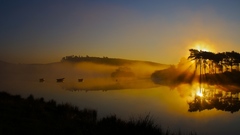 Everywhere mistycal morning sun