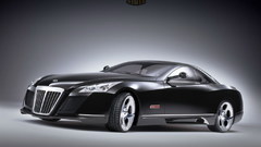 Exelero want