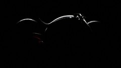 Exhaust akrapović akrapovic morsus exhaust wrap