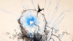 Experiment high Resolution