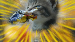 Explosion and end it