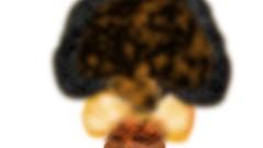 Explosions bombs Nuclear atomic nuclear explosions atomic bomb