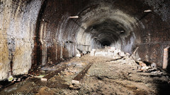 Exposed for The Roof