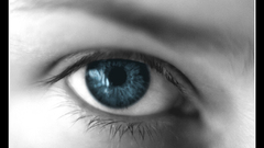 Eye of The photographer