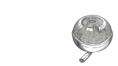 Eyes anatomy Gray's Anatomy