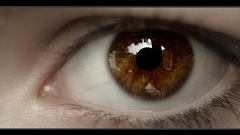 Eyes brown eyes macro