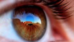 Eyes eyelashes close-up reflections