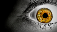 Eyes orange selective coloring