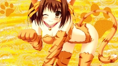 Eyes the melancholy of