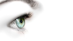 Eyes white background eyebrows green eyes selective coloring 