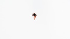 Eyes white woman brunettes models photo shoot lg ella Fame 