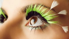 Eyes woman Brushes faces