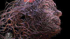 Face wires optic 1440x900