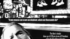 Fair mouse bloc high