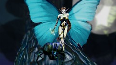 Fairies Beetles fairy worrior