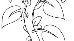 Fairytales twentynine high