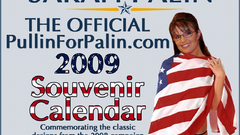 Fake sarah palin politician