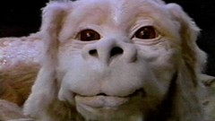 Falcor Animals