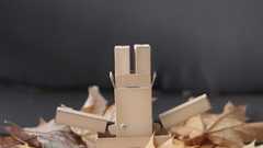 Fallen leaves danboard