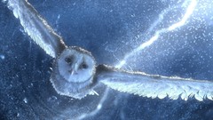 Fantasy blue Movies Lightning Owls Legend Of The Guardians