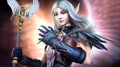 Fantasy elves sorcerer long hair gray eyes fantasy art