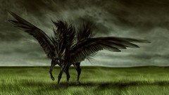 Fantasy fantastic pegasus creatures digital art fantasy art 