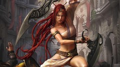 Fantasy fighters Swords heavenly sword nariko video games