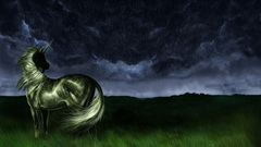 Fantasy horse clouds Wild