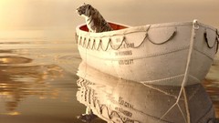 Fantasy Movies Life of Pi