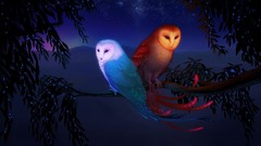 Fantasy night moon Owls the sun digital art fantasy art