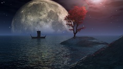 Fantasy night silent viking