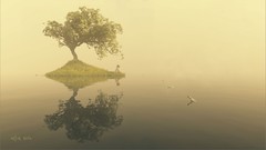 Fantasy reflections reflective bottles message Message in a 