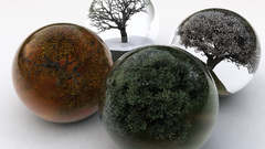 Fantasy seasons balls