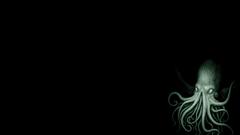 Fantasy tentacles Cthulhu octopuses