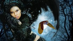 Fantasy Trees night Stars sky brown forests White Owl black 