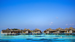 Fantasy Turquoise azmyst