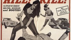 Faster cat high animal