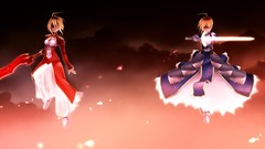 Fate series fate stay